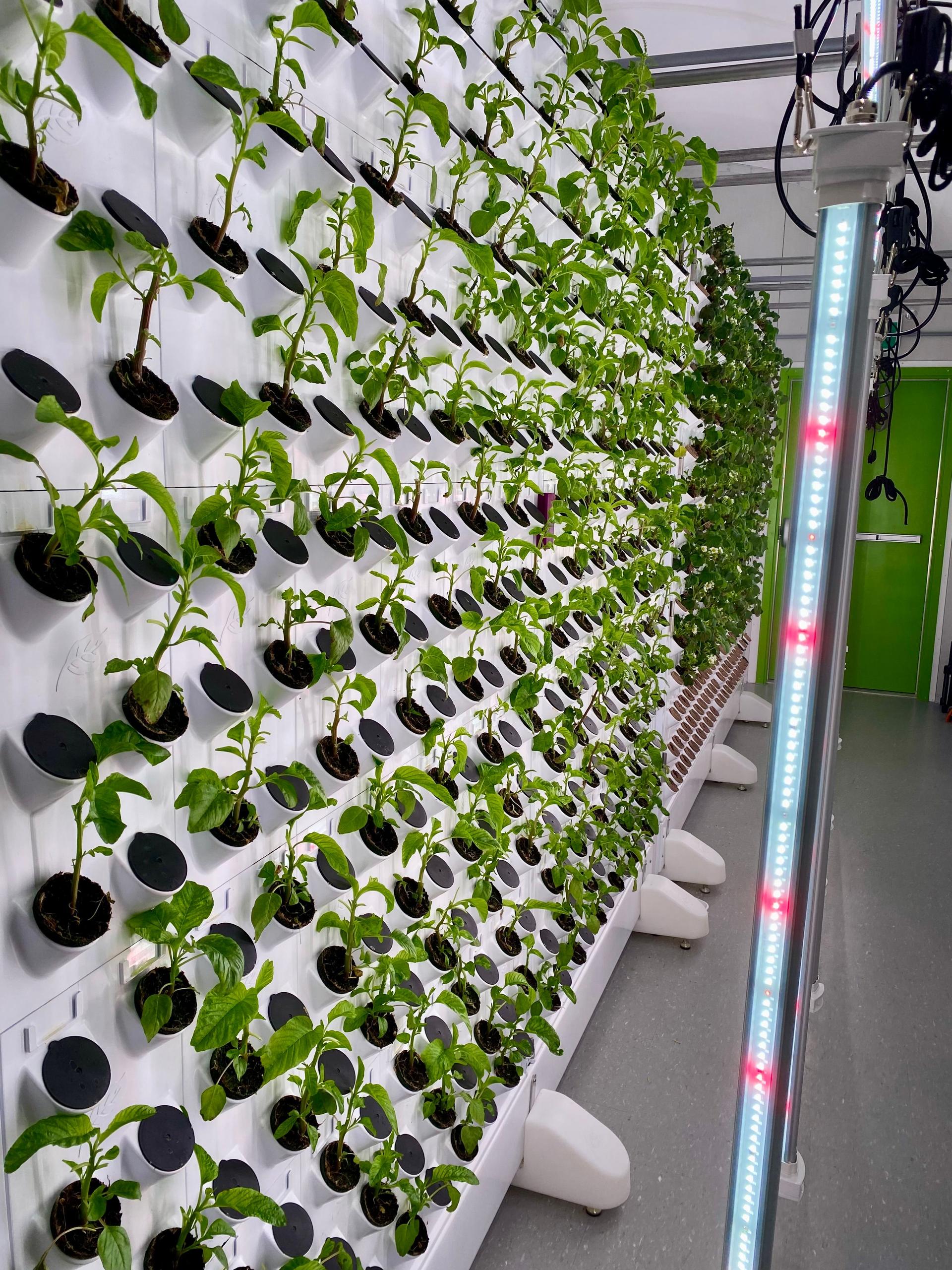 Integrated Agritech